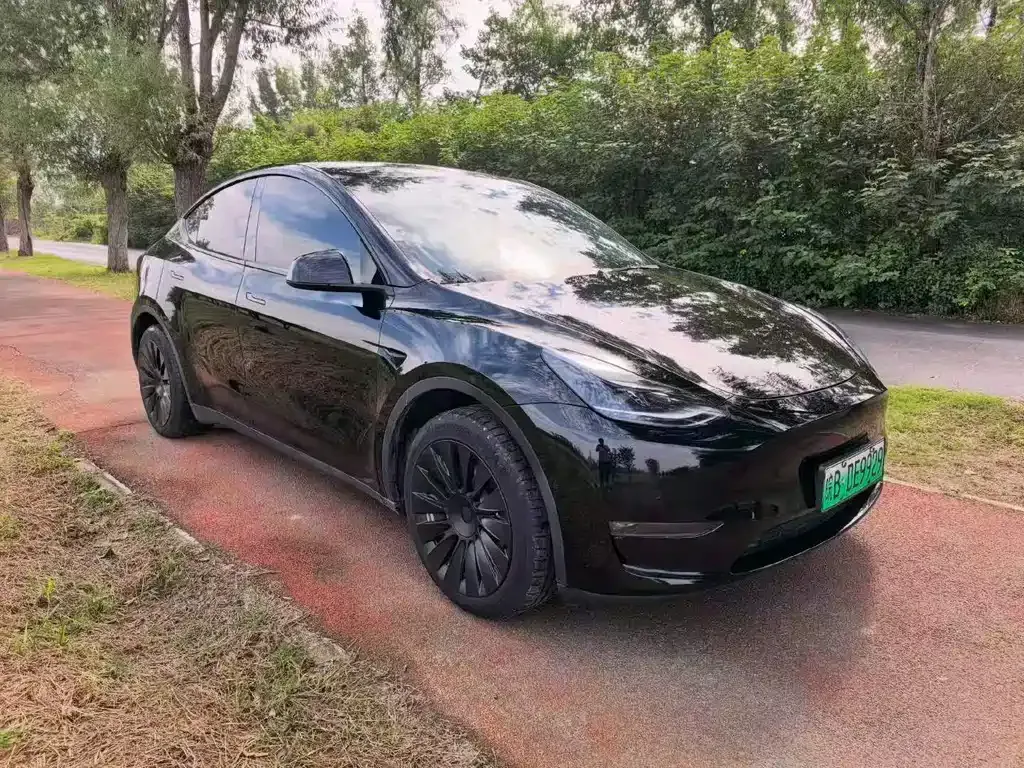 Tesla Model Y — фото 9
