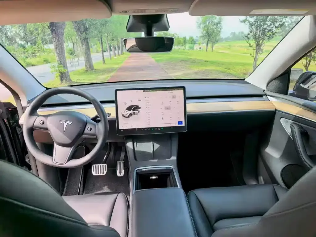 Tesla Model Y — фото 6