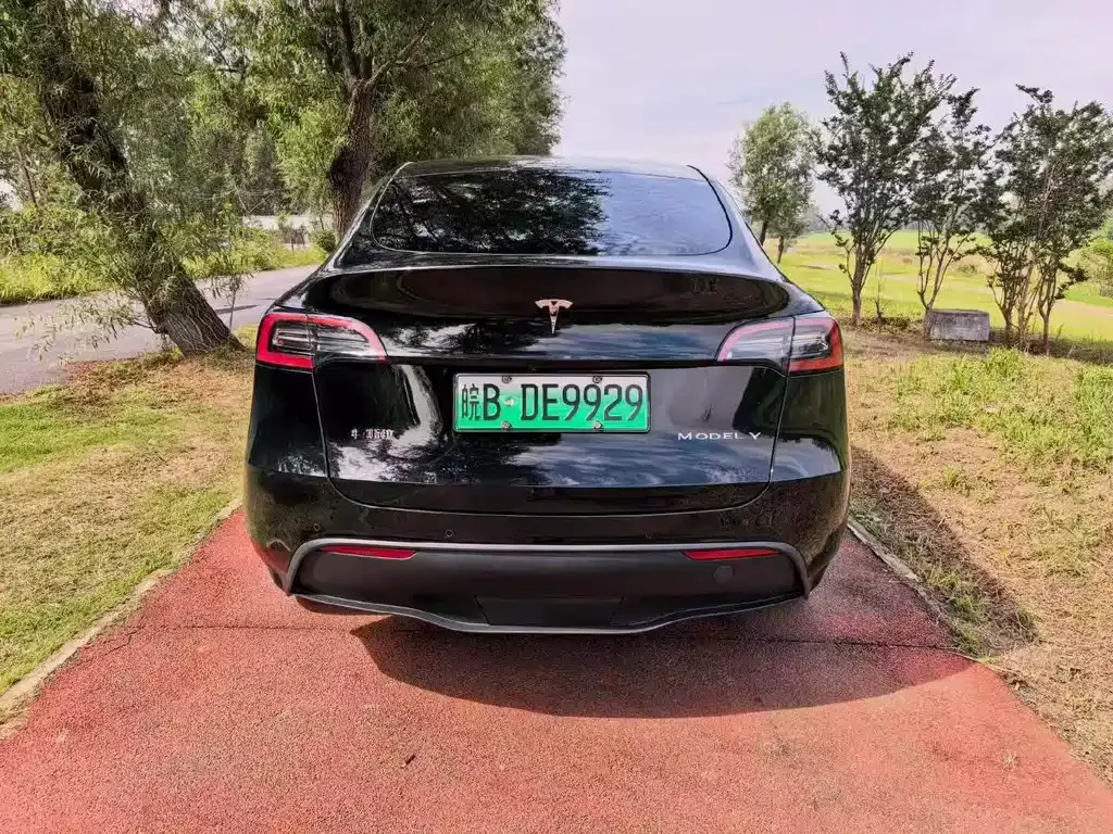 Tesla Model Y — фото 8