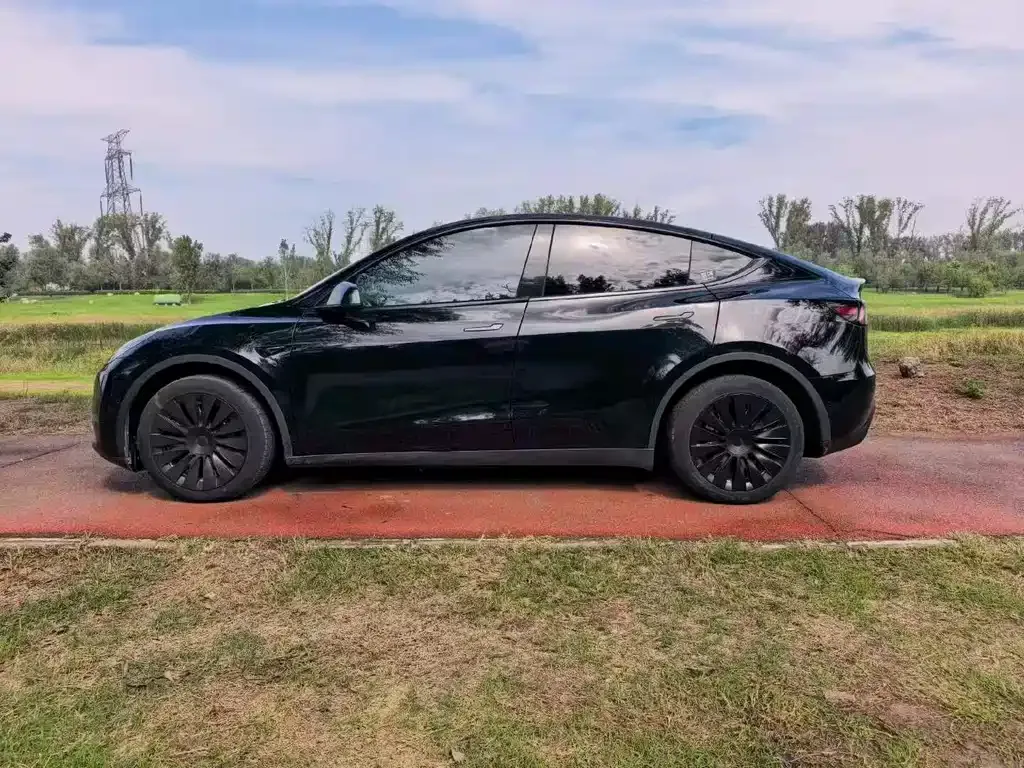 Tesla Model Y — фото 5