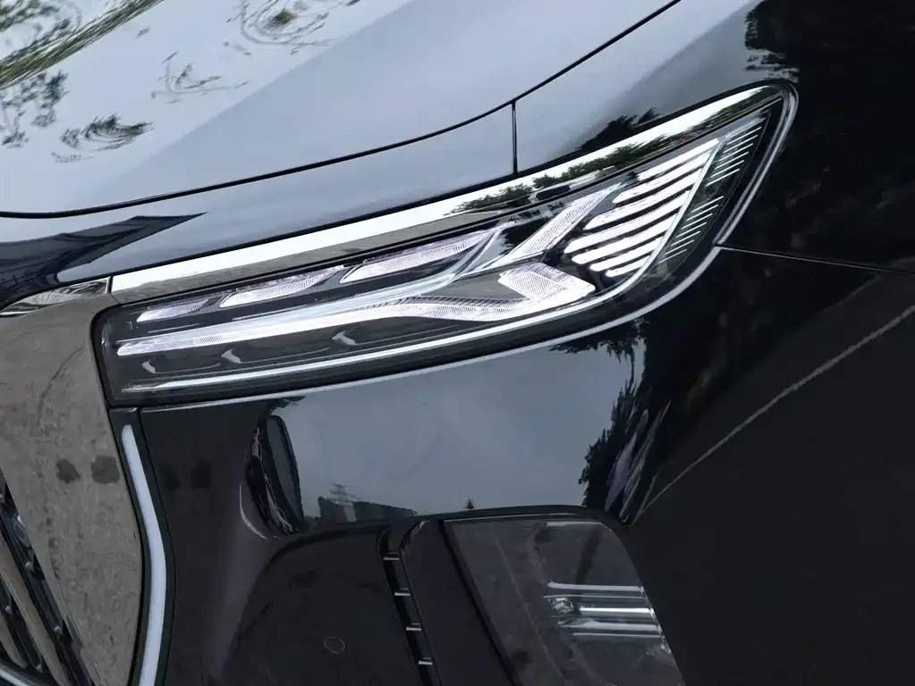 Hongqi H9 — фото 4