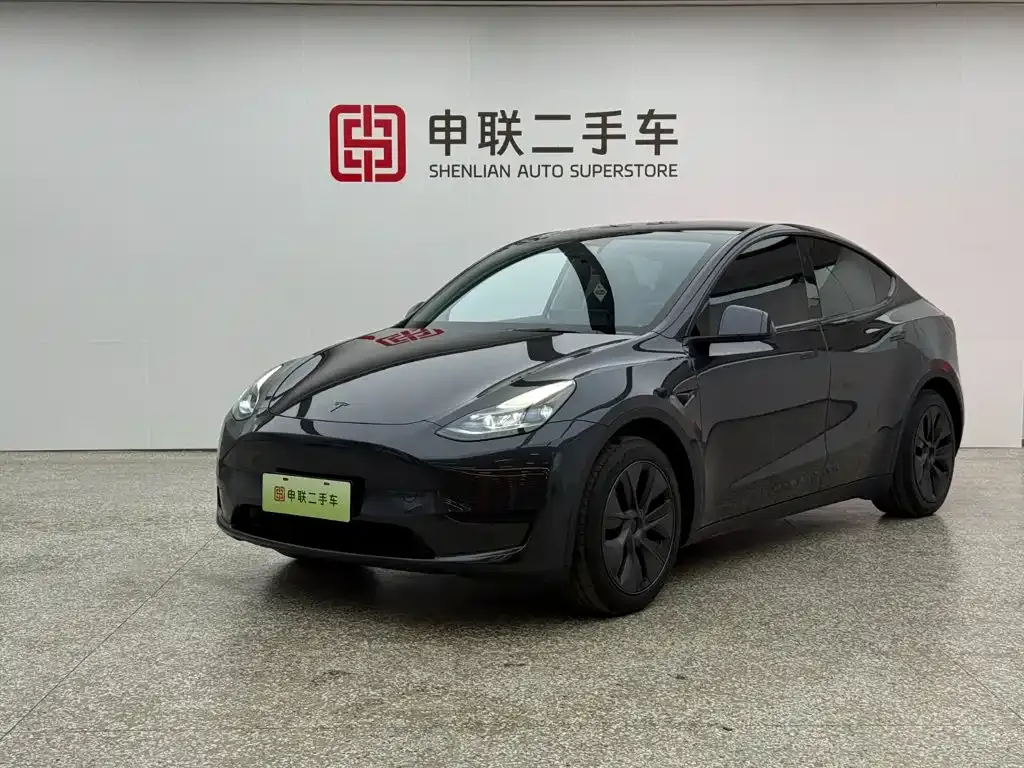 Tesla Model Y — фото 1