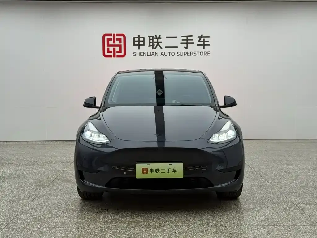 Tesla Model Y — фото 2