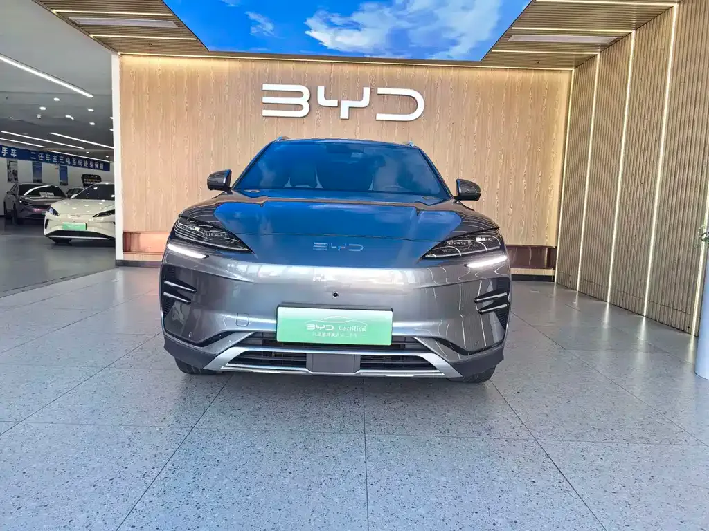 BYD PLUS New Energy — фото 4