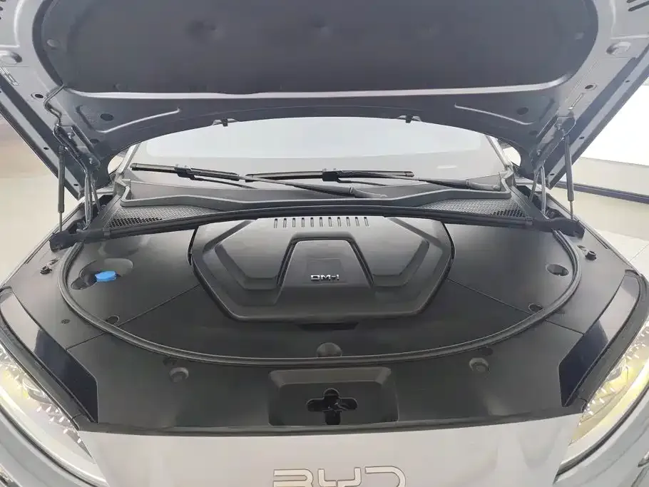 BYD PLUS New Energy — фото 8