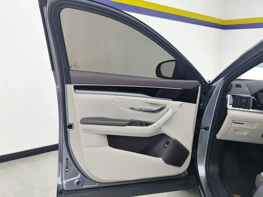 BYD PLUS New Energy — фото 10