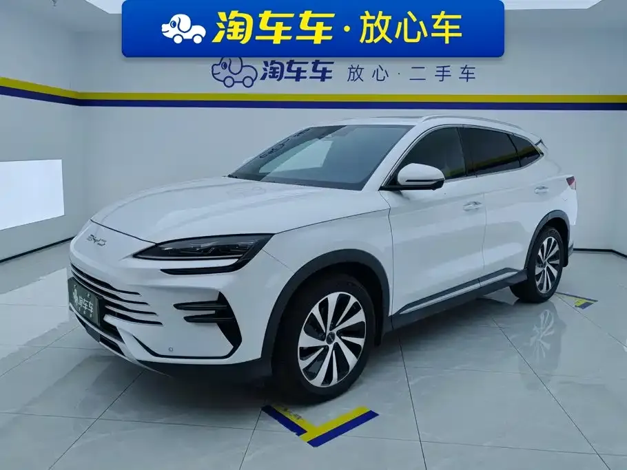 BYD PLUS New Energy — фото 1