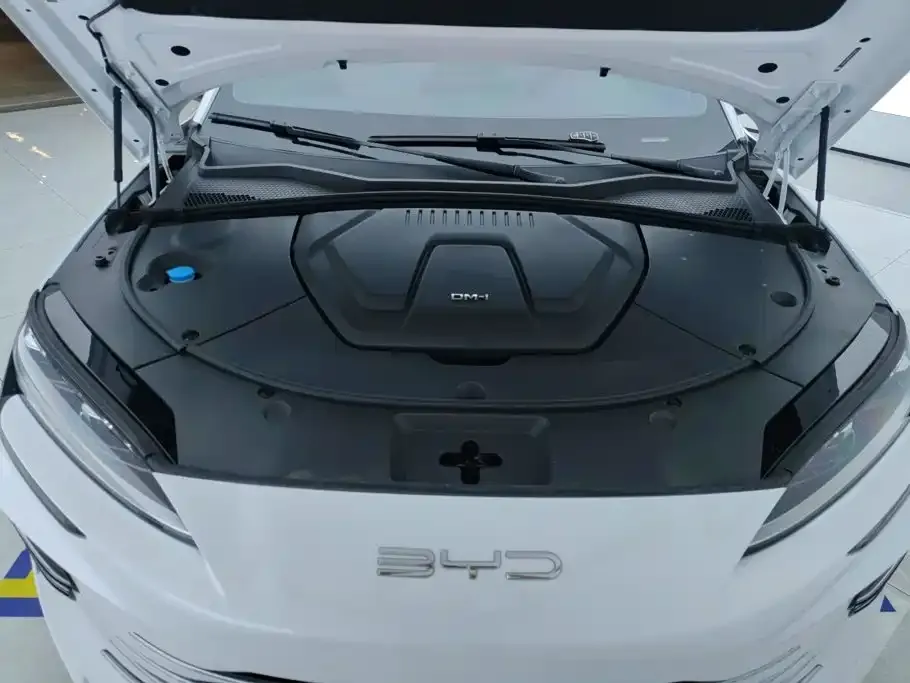 BYD PLUS New Energy — фото 6