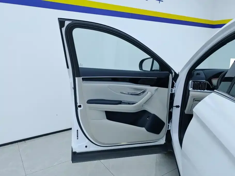 BYD PLUS New Energy — фото 4
