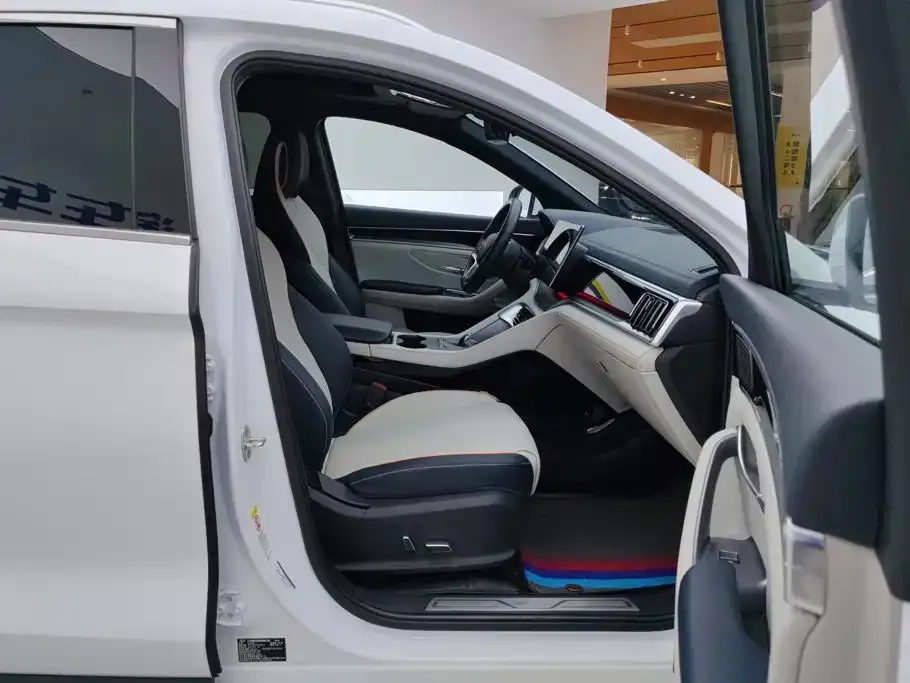 BYD PLUS New Energy — фото 10