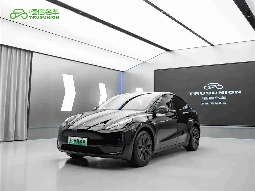 Tesla Model Y — фото 4
