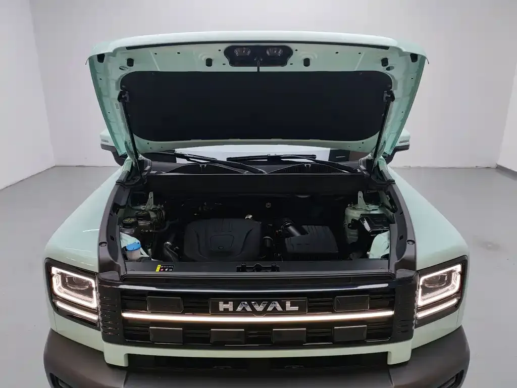 Haval Menglong New Energy — фото 4
