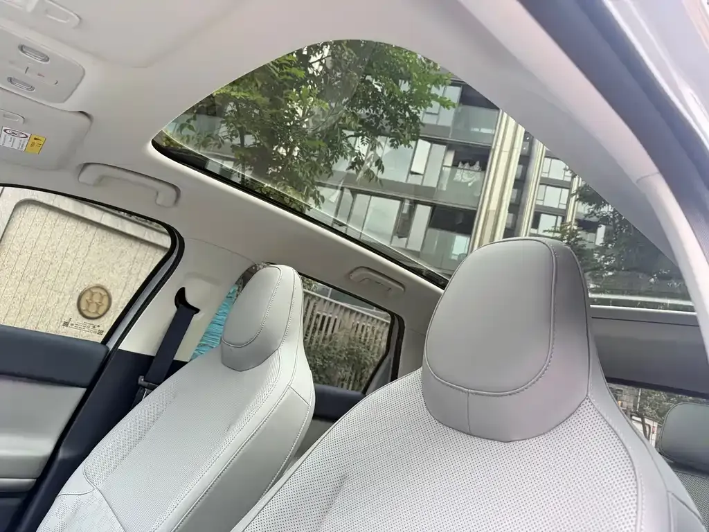 Leapmotor Leapmotor A10 — фото 10