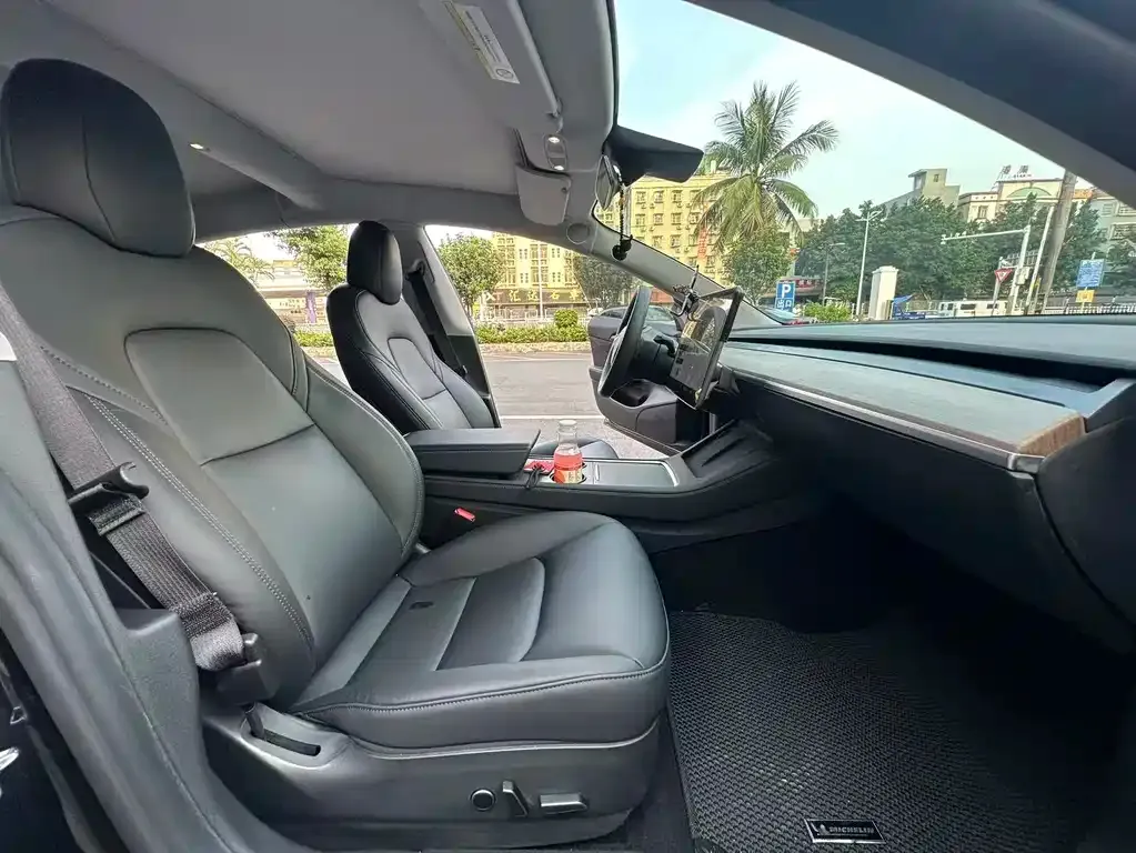 Tesla Model 3 — фото 2