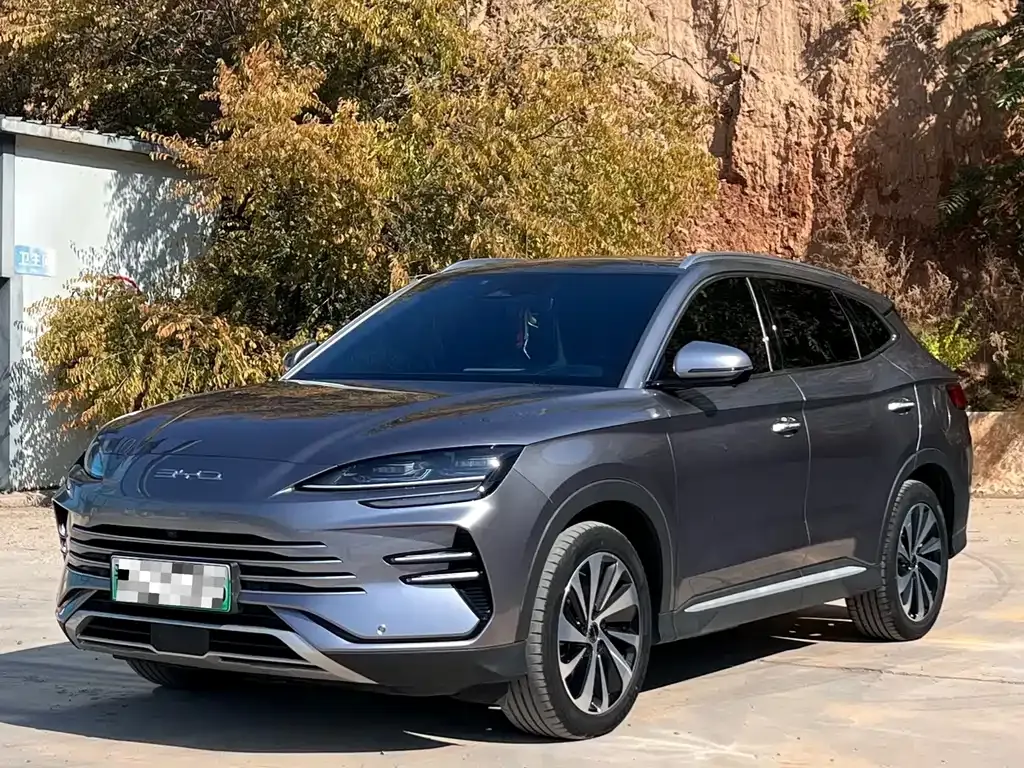 BYD PLUS New Energy — фото 1