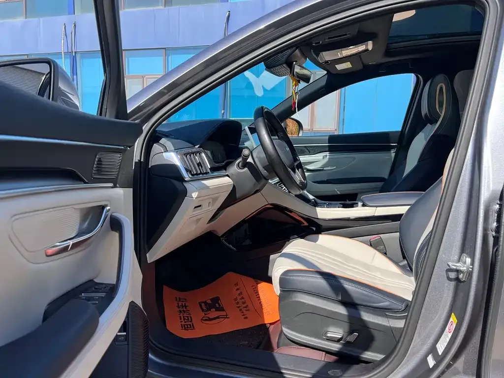 BYD PLUS New Energy — фото 8