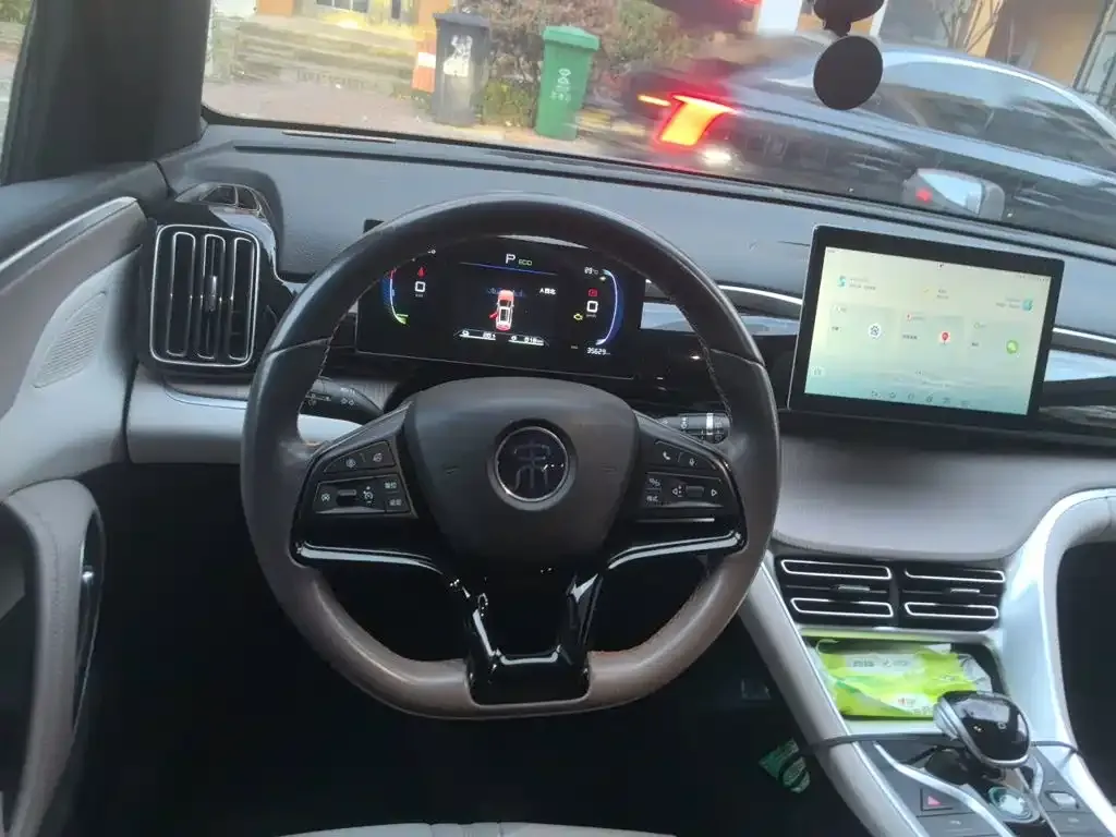 BYD Pro New Energy — фото 10