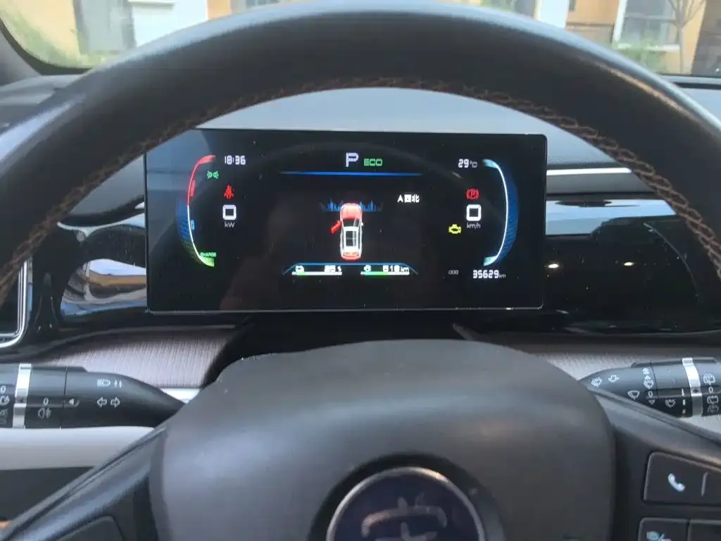 BYD Pro New Energy — фото 2