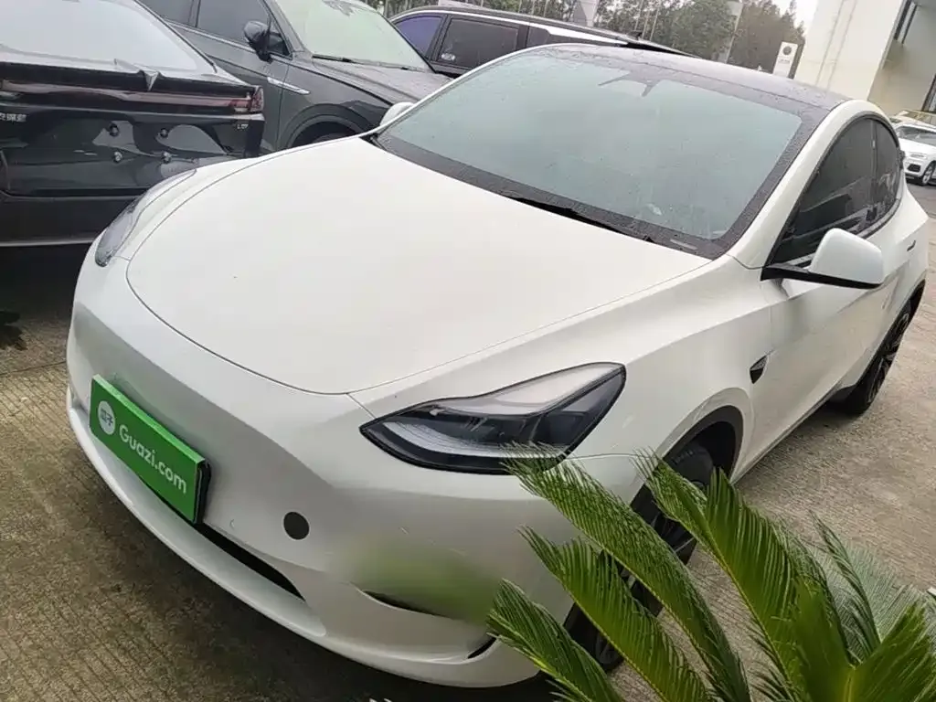 Tesla Model Y — фото 1