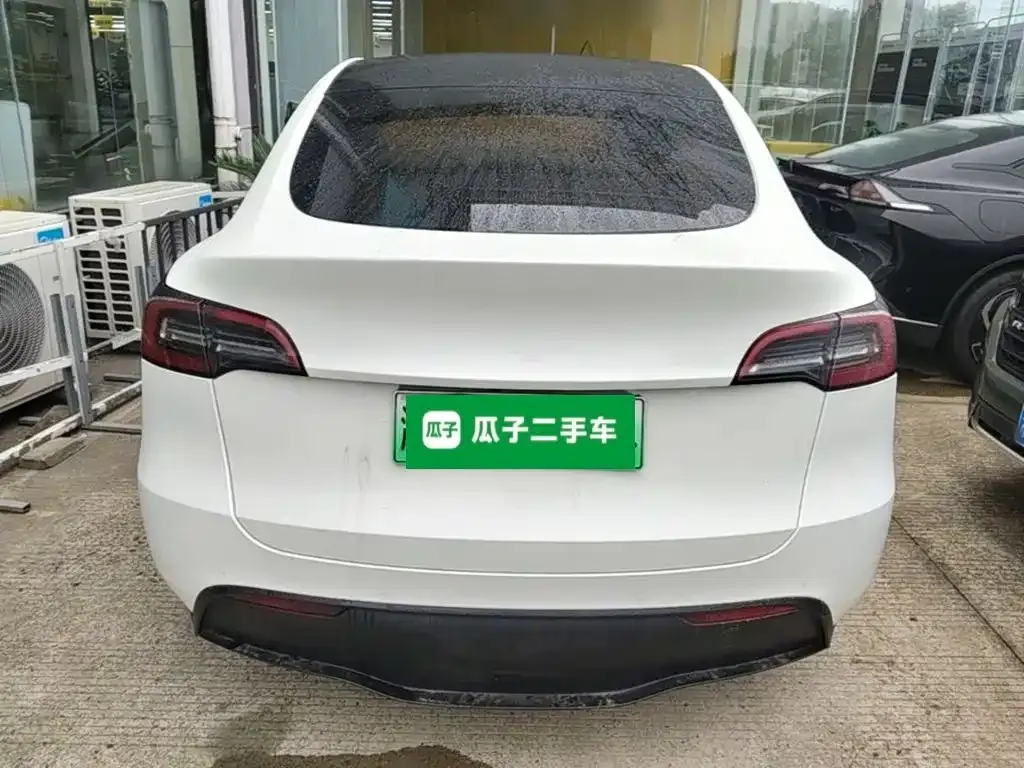 Tesla Model Y — фото 10