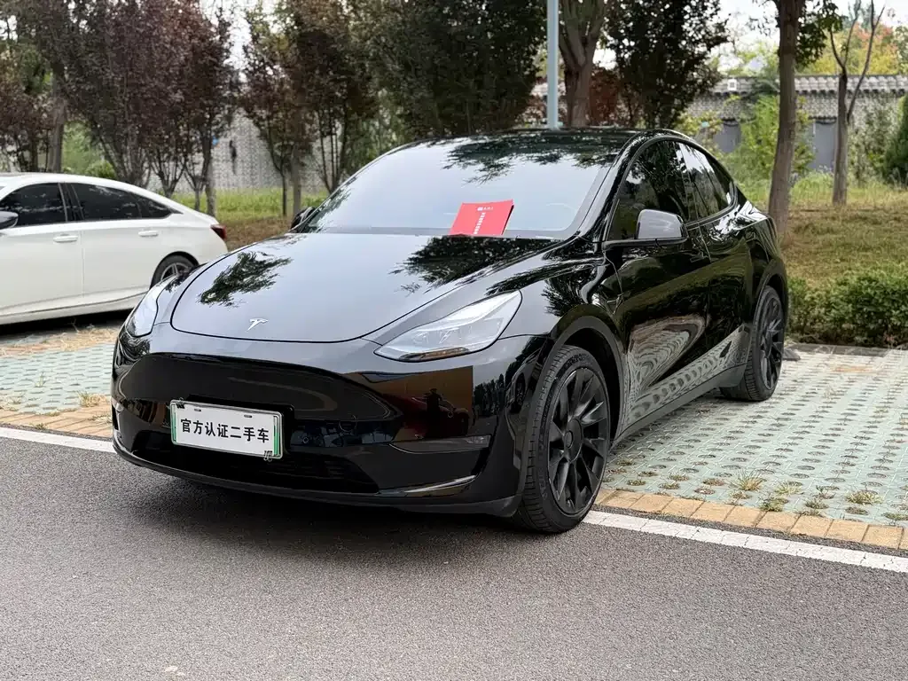 Tesla Model Y — фото 1