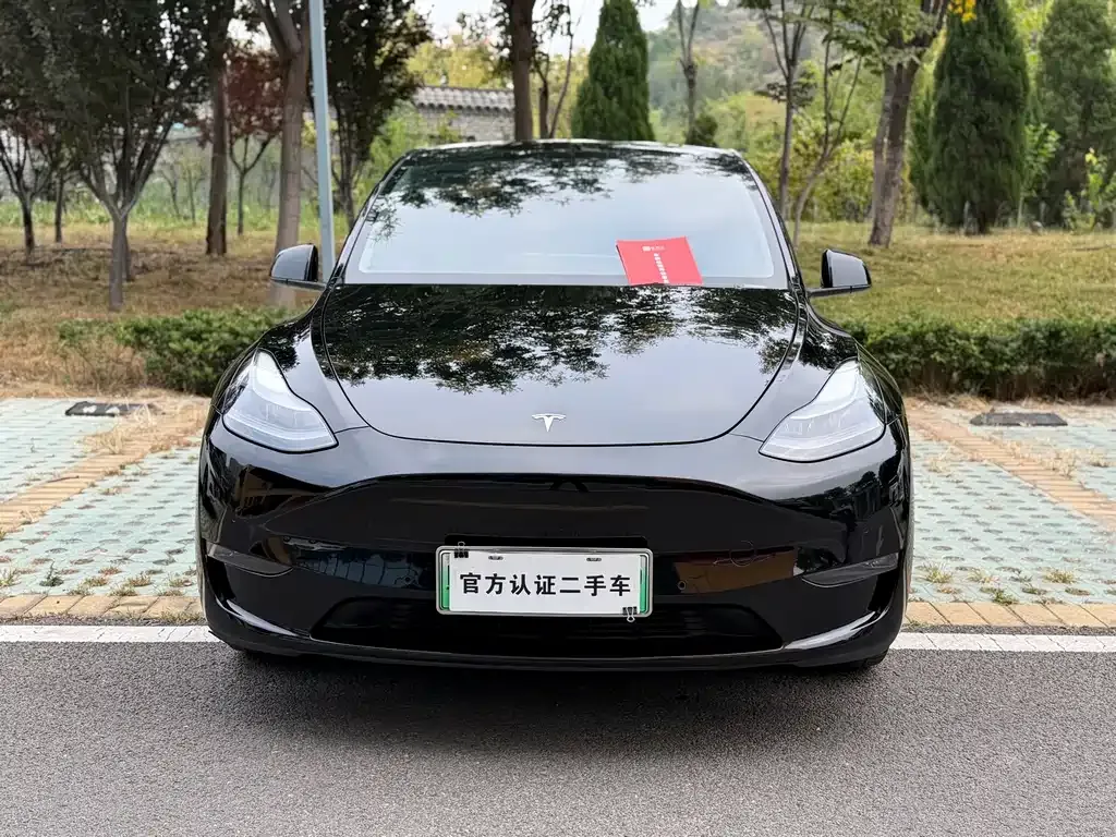 Tesla Model Y — фото 9