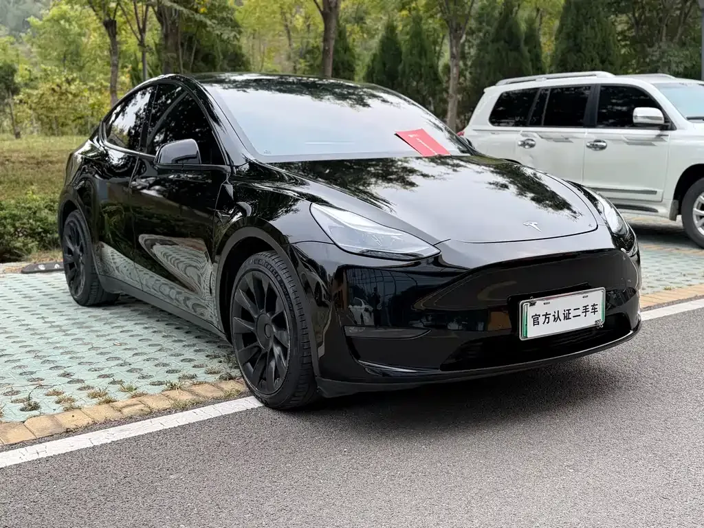 Tesla Model Y — фото 10