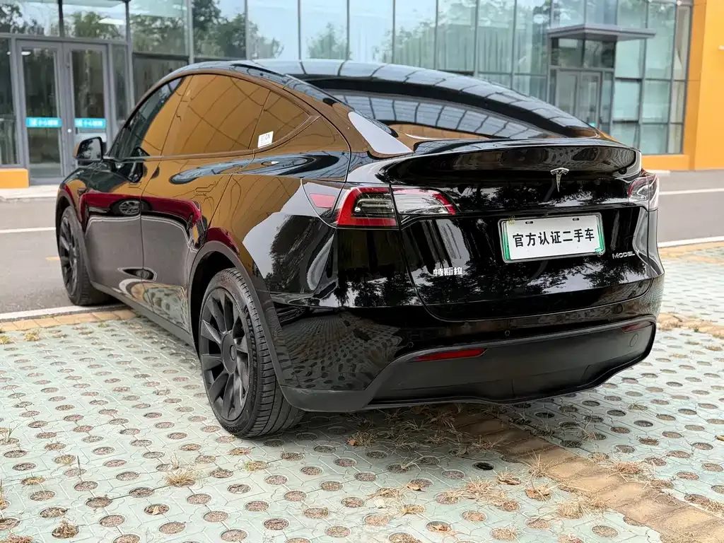 Tesla Model Y — фото 2