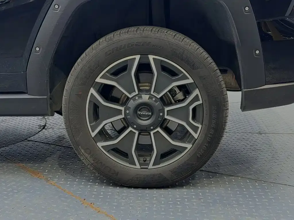 Haval Big Dog PLUS New Energy — фото 10