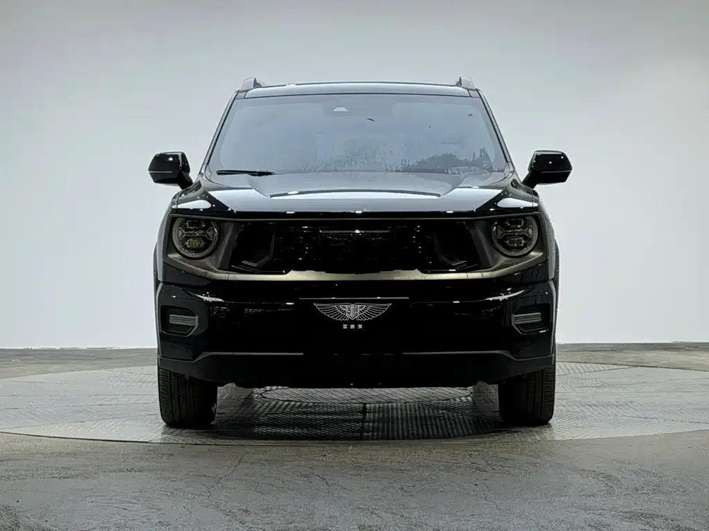 Haval Big Dog PLUS New Energy — фото 6
