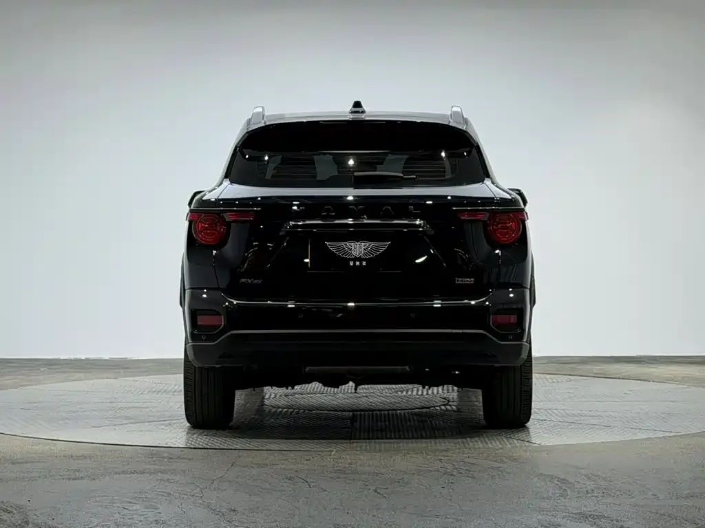 Haval Big Dog PLUS New Energy — фото 7