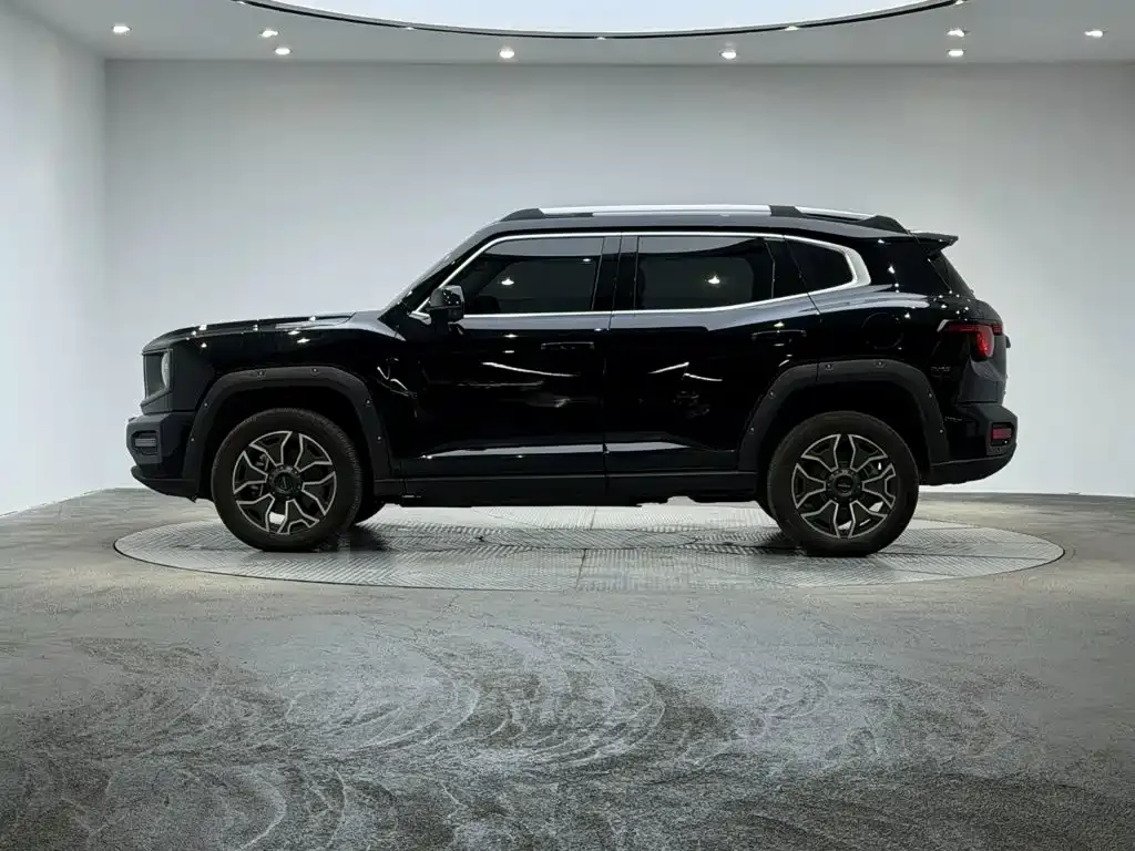Haval Big Dog PLUS New Energy — фото 9