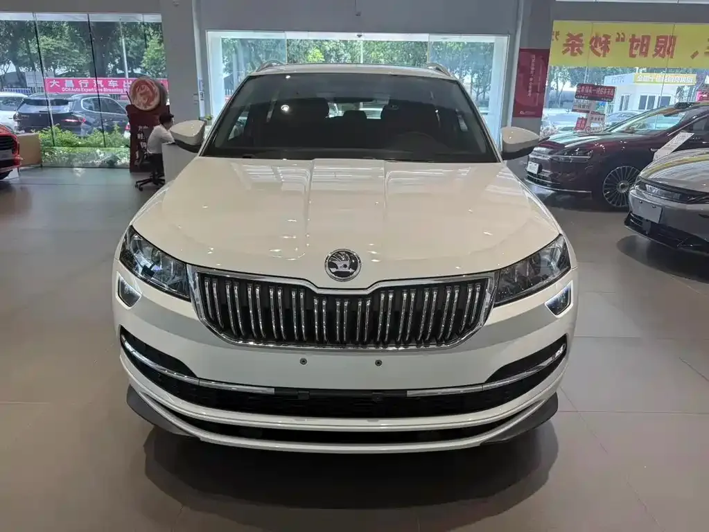 Skoda Karoq — фото 8