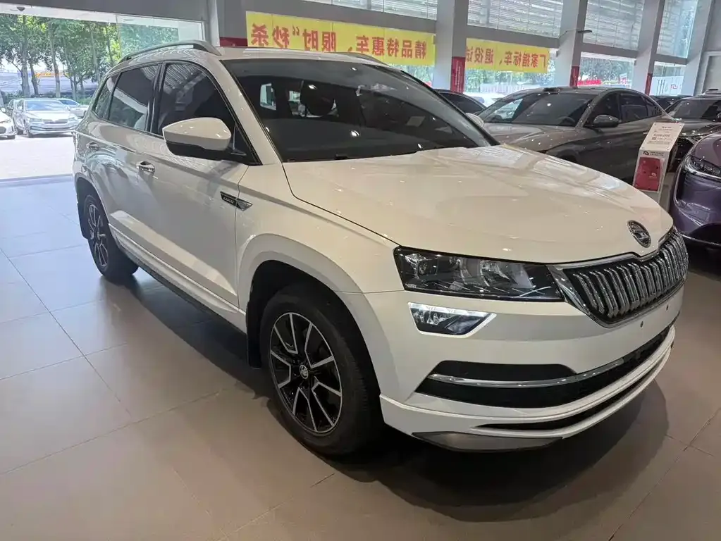 Skoda Karoq — фото 6