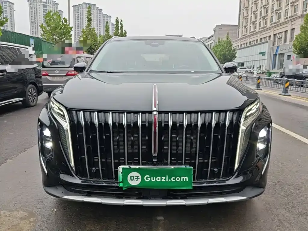 Hongqi HS7 PHEV — фото 7