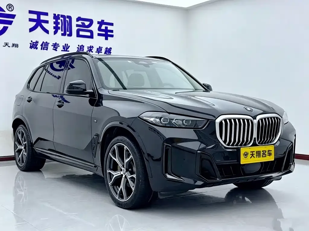 BMW X5 — фото 10