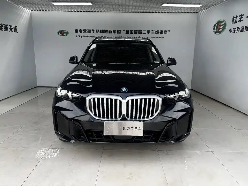 BMW X5 — фото 10