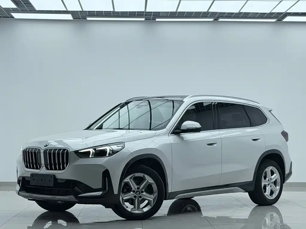 BMW X1 — фото 1