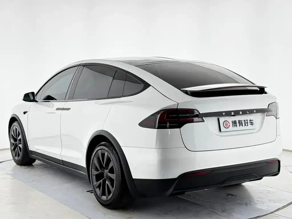 Tesla Model X — фото 10
