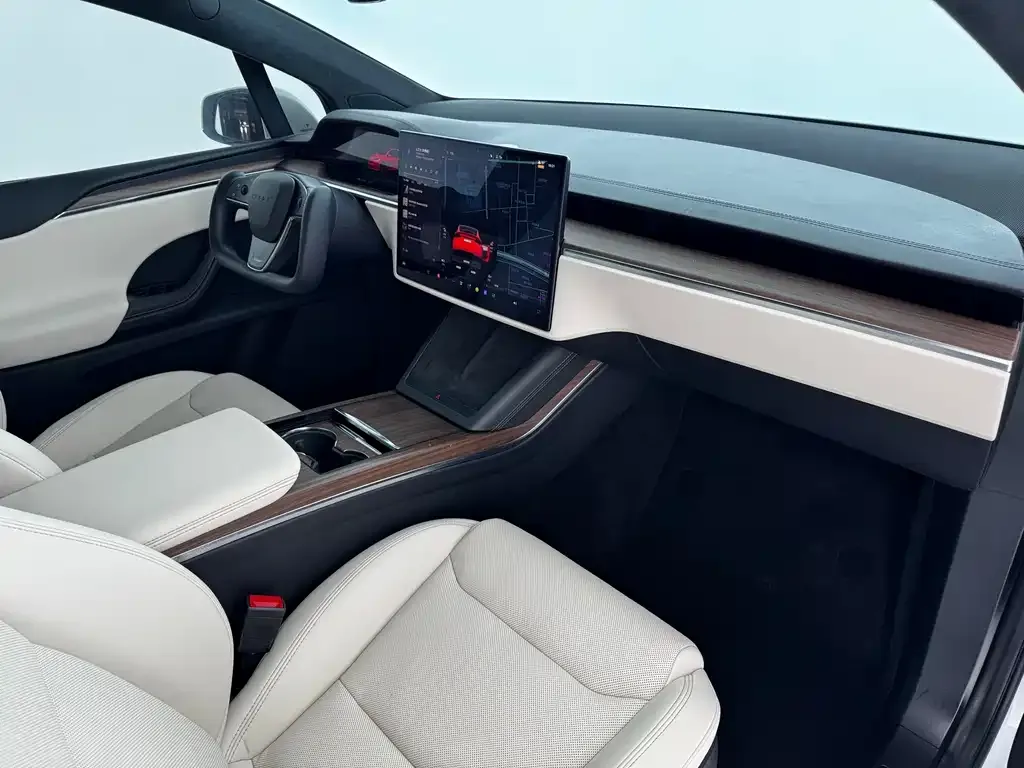 Tesla Model X — фото 8