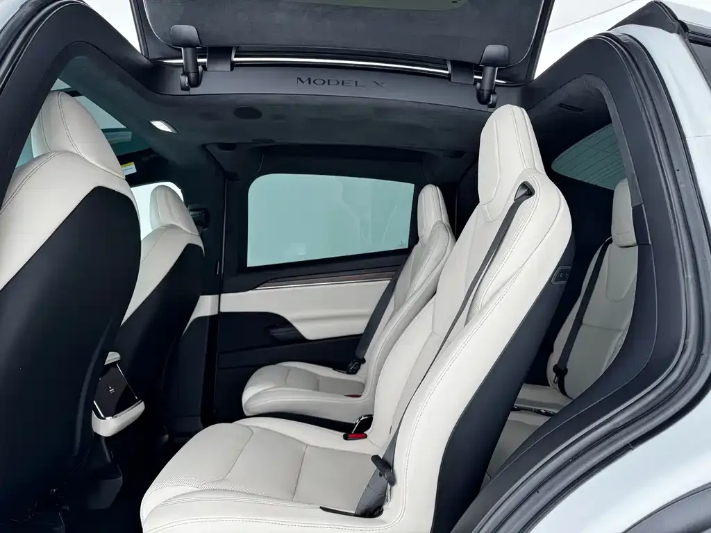 Tesla Model X — фото 9