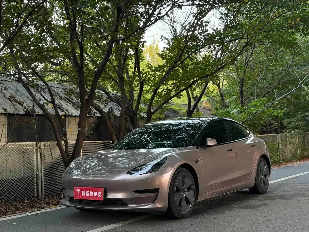 Tesla Model 3 — фото 1