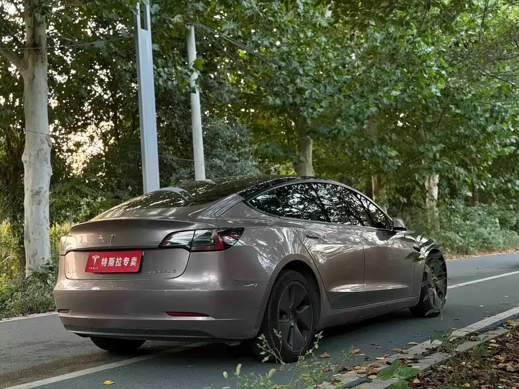 Tesla Model 3 — фото 4