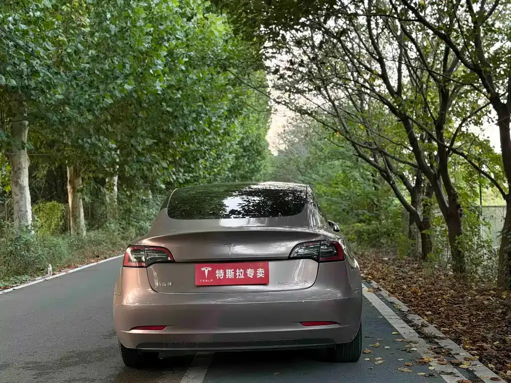 Tesla Model 3 — фото 9