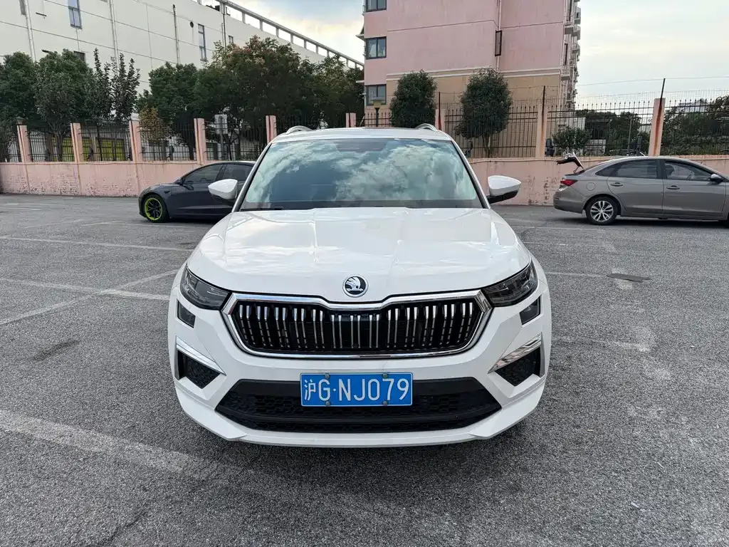 Skoda Kodiaq — фото 7