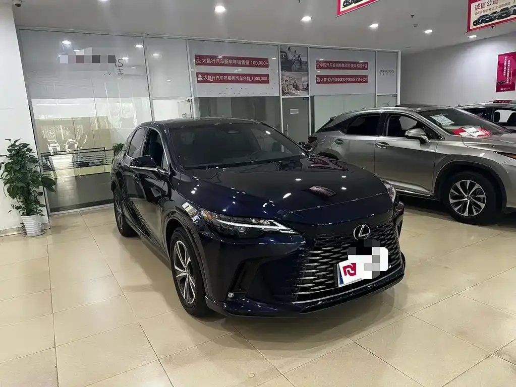 Lexus RX — фото 10