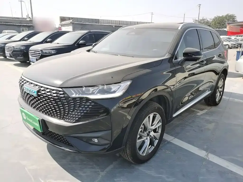 Haval H6 New Energy — фото 1