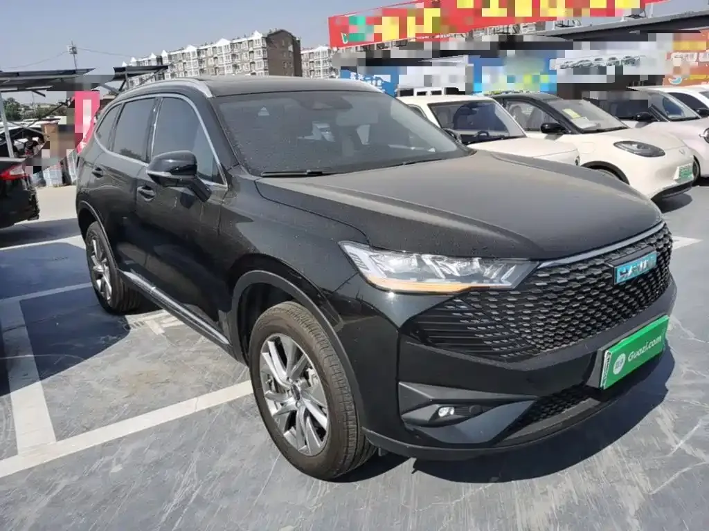 Haval H6 New Energy — фото 4