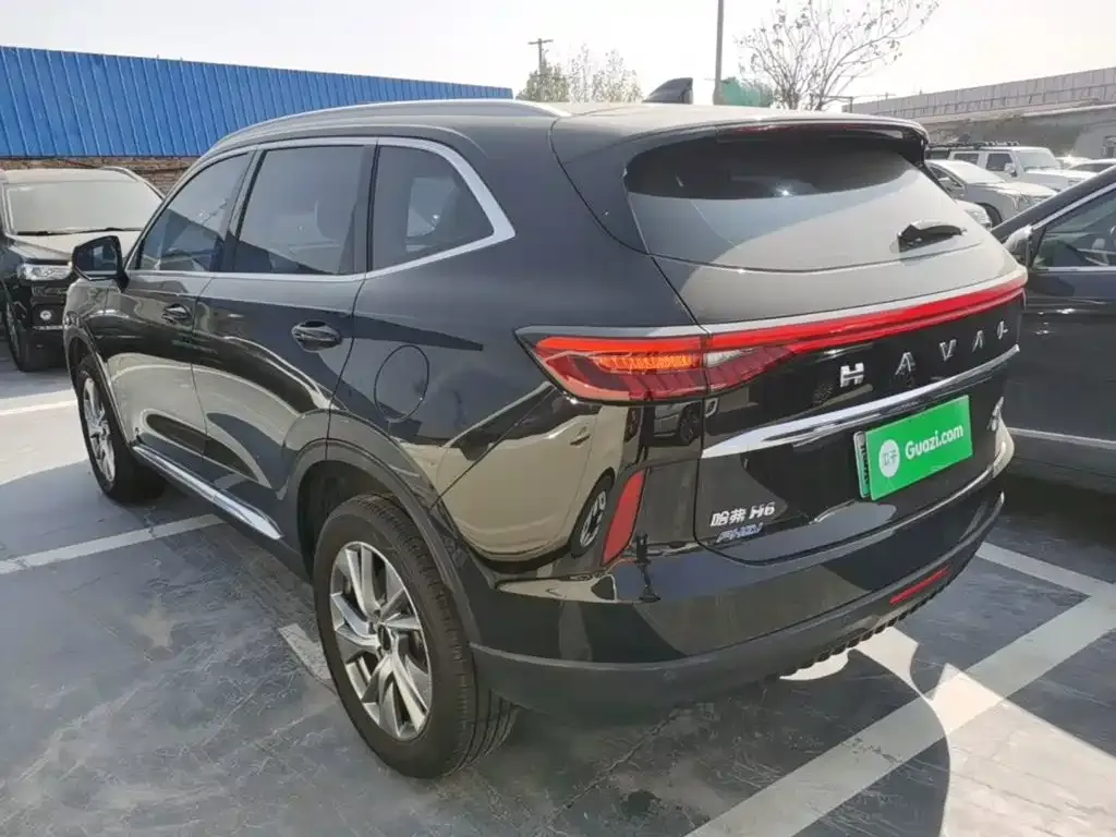 Haval H6 New Energy — фото 6