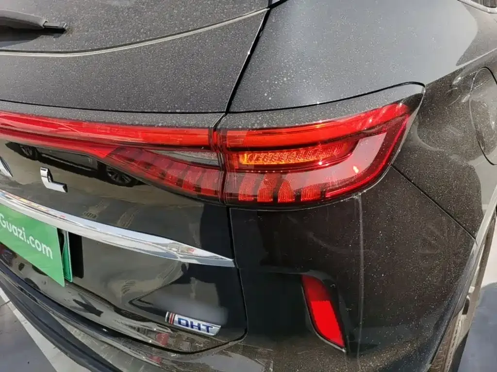 Haval H6 New Energy — фото 10